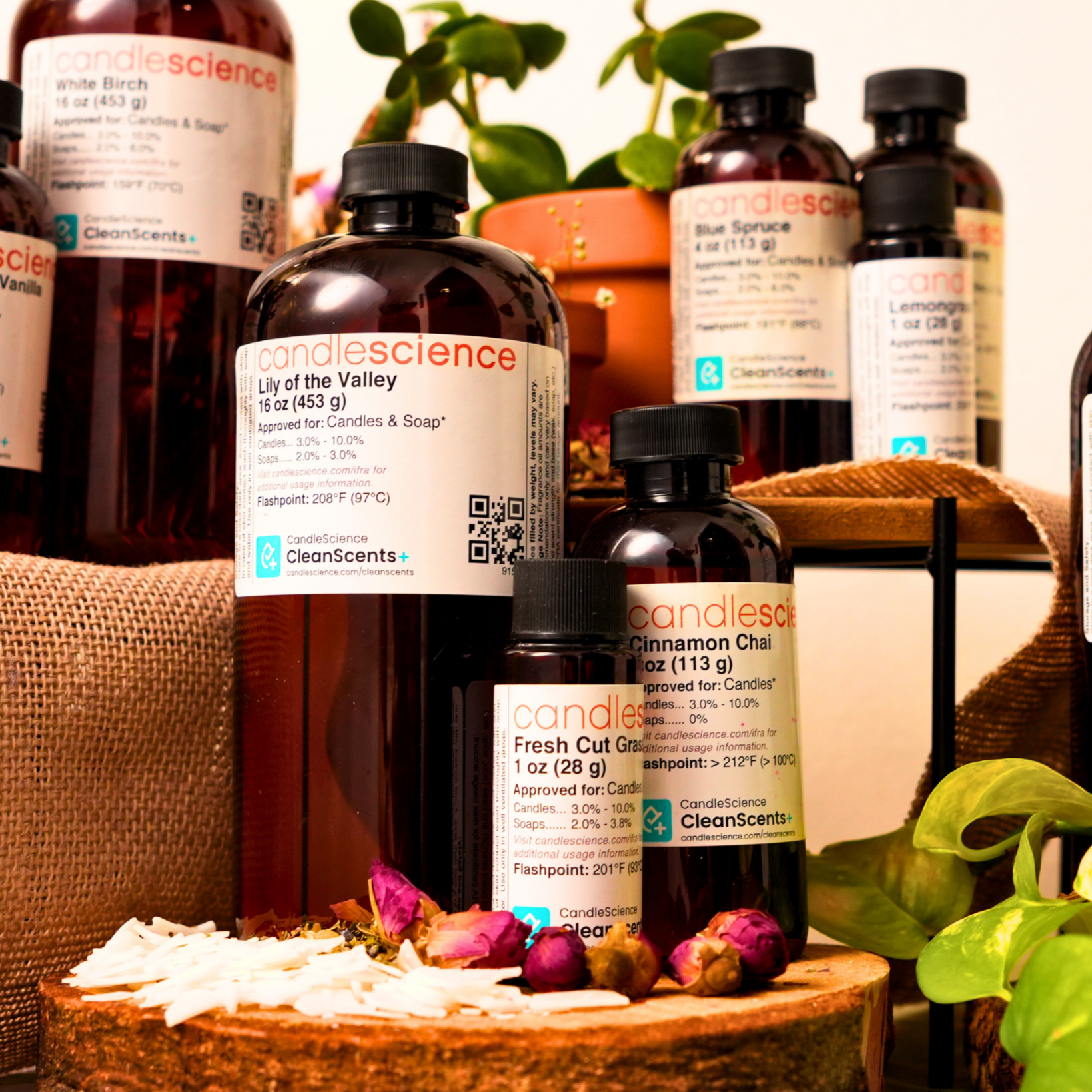 Collection of CleanScents products including bottles on a wooden stand with plants in the background.