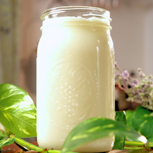 Glass jar filled with a white cured candle wax, surrounded by green leaves and blurred background